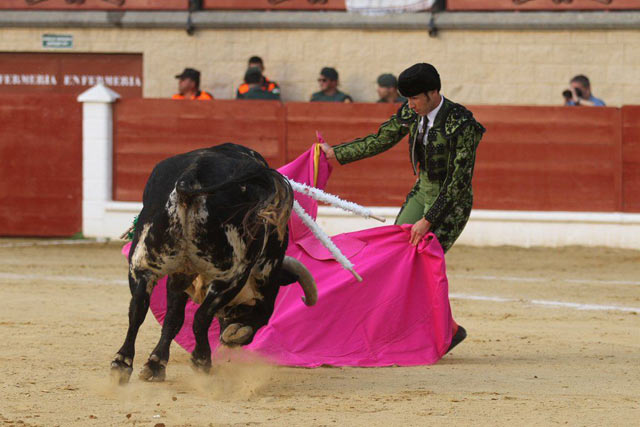 El banderillero Jesús Díez 'Fini' colocando un toro de su matador en la plaza de toros de Los Barrios la tarde de su reaparición. (FOTO:@laliturgia)