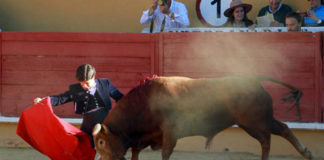 Garrido en el inicio de faena de su novillo (FOTO: Isma Sánchez)