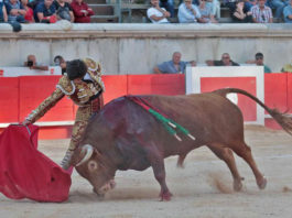 Garrido y Pañero en la arena de Nimes (FOTO: Daniel Chicot-Aplausos)