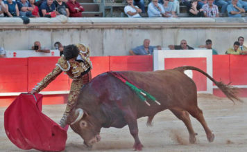 Garrido y Pañero en la arena de Nimes (FOTO: Daniel Chicot-Aplausos)