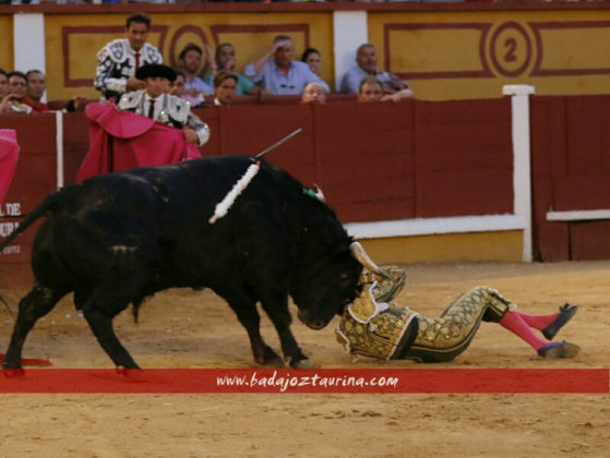 Roca Rey. En la cara del toro