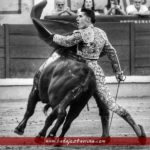 20170623_205450-01_BT