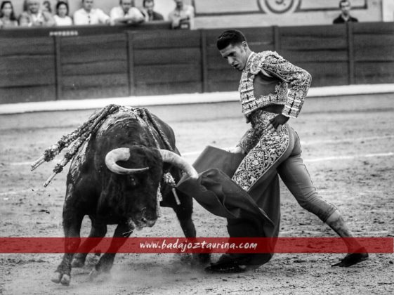 Alejandro Talavante en el quinto