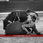 20170623_232205-01_BT