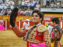 José Garrido