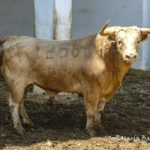 EL-TORREON-256–(552)