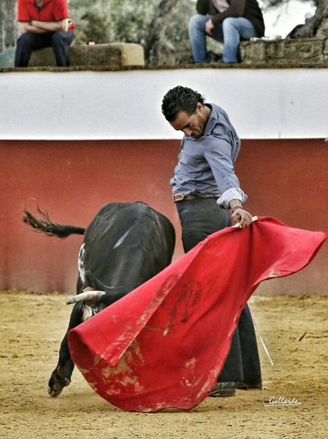 Iván Fandiño durante un tentadero reciente en la ganadería de Cayetano Muñoz (FOTO: Gallardo)