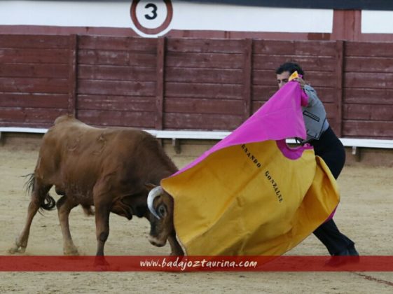 Fernando González en la brega