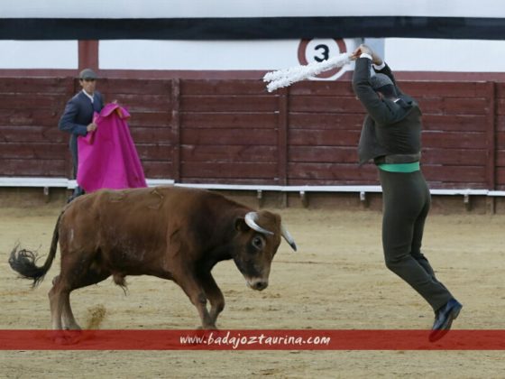 Lolín con los palos