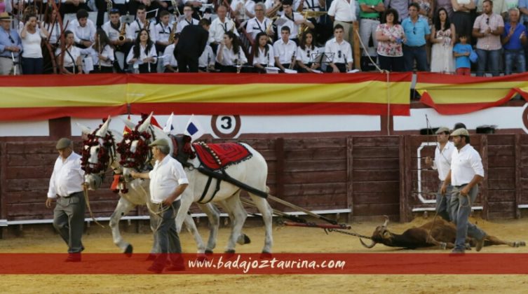 Vuelta al ruedo al eral