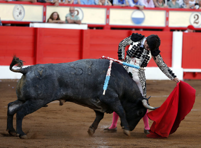 José Garrido al natural con su primer 'adolfo' en Santander (FOTO: Arjona-Aplausos)