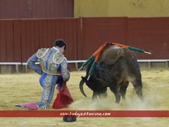 El Lauri