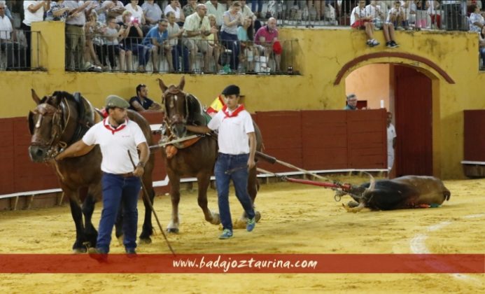 Merecida vuelta al ruedo al cuarto