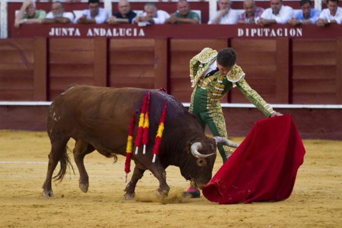 Ginés Marín toreando al natural a su primero en Málaga (FOTOS: Pablo Cobos-Aplausos)