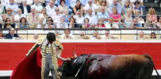 Perera en un momento de su actuación en Bilbao (FOTO: Arjona-Aplausos)