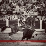 20170901_224421-01_BT