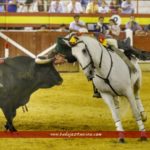 20170901_231544-01_BT