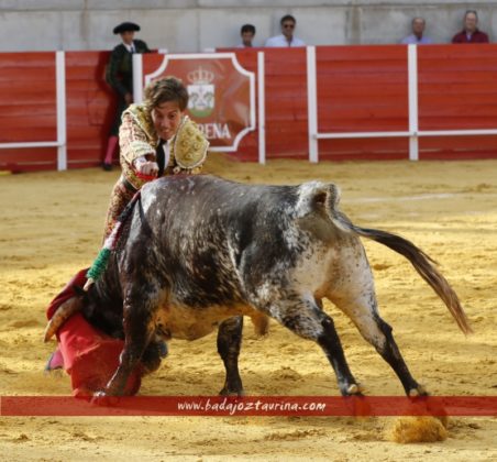 Tomás Angulo