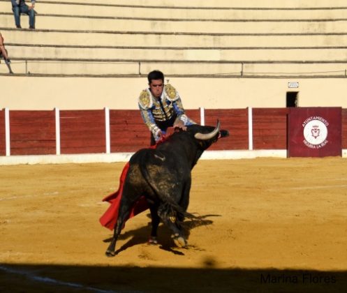 Momento de la cogida de Mario Palacios