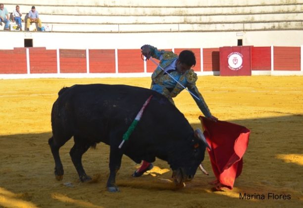 Fernando Flores