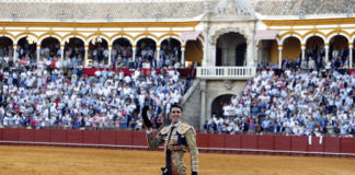 Talavante con la taleguilla rota dando la vuelta al ruedo en Sevilla