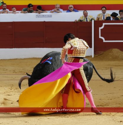 José Garrido