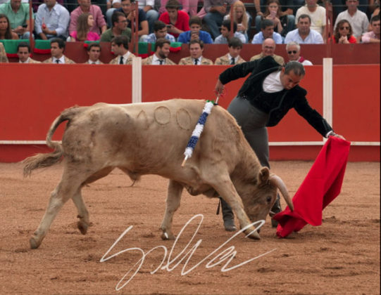 Luis Reinoso 'Cartujano' en Vila Boim (FOTO: Silva)