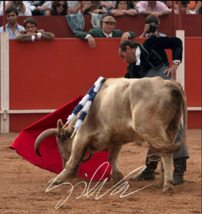 Luis Reinoso 'Cartujano' en Vila Boim (FOTO: Silva)