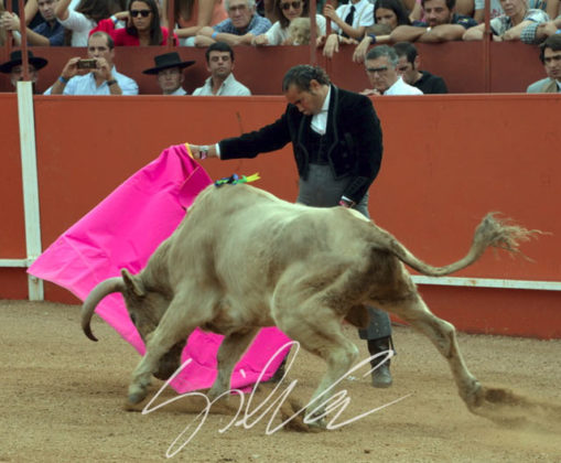 Luis Reinoso 'Cartujano' en Vila Boim (FOTO: Silva)