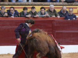 María del Mar Santos