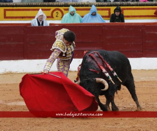 José Garrido