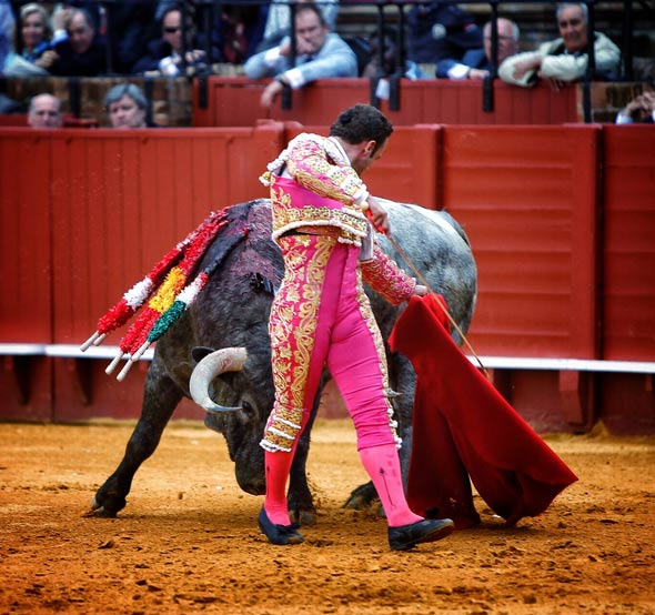 Sevilla durane la lidia de uno de los victorinos que le tocaron en suerte (FOTO:Toromedia)