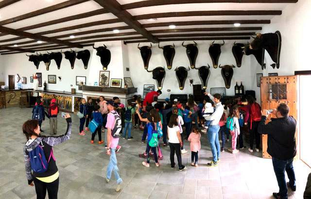 Escolares de Badajoz visitan Los Cansaos con Perera