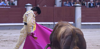 José Garrido lanceando a su primer Fuente Ymbro (FOTO: Julián López)