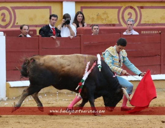 Pedrito de Portugal