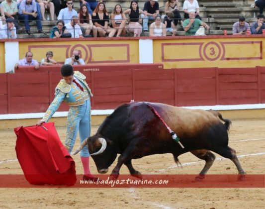 Pedrito de Portugal