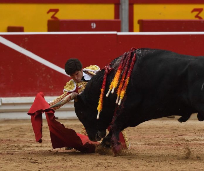 Garrido de rodillas ante el sexto en Pamplona (FOTO: Javier Arroyo)