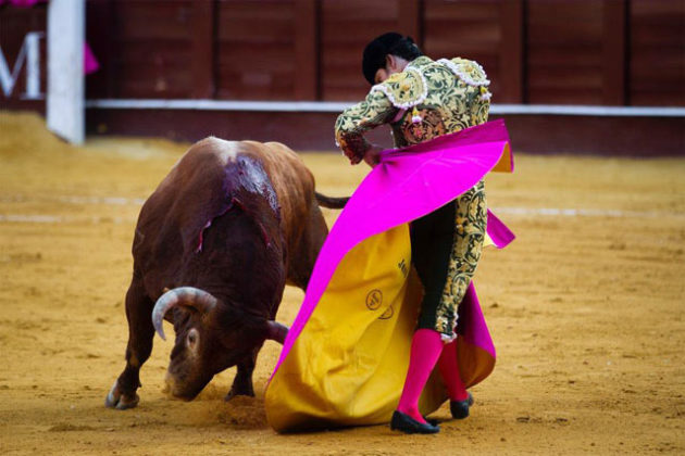 Garrido en Málaga (FOTO: Pablo Cobos)