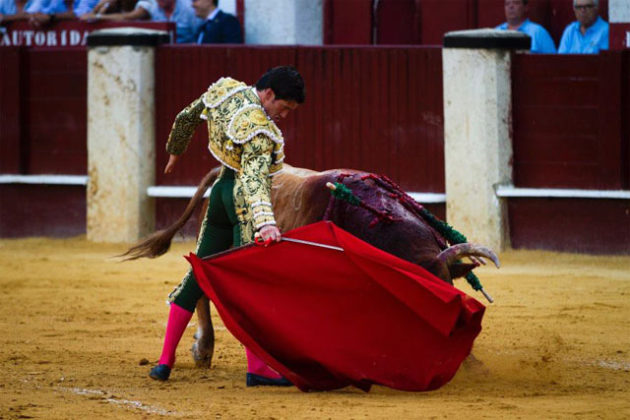 Garrido en Málaga (FOTO: Pablo Cobos)