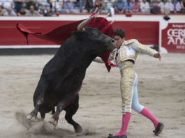 Tomás Campos ante un Cuadri en Azpeitia (FOTO:Javier Arroyo-Aplausos.es)