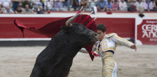 Tomás Campos ante un Cuadri en Azpeitia (FOTO:Javier Arroyo-Aplausos.es)