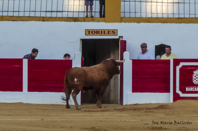 El novillo de Bernardino Píriz