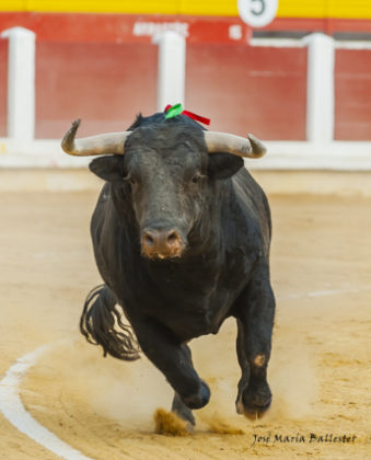 El 5º de Monte la Ermita