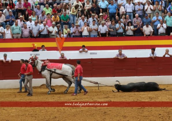 Vuelta al ruedo a Resultón de Bohórquez