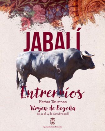 Nº 5- Jabalí - Valdeterrazo