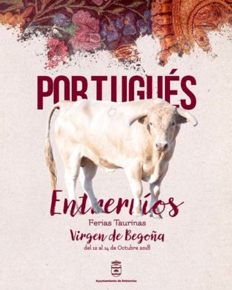 Nº 6 - Portugués - Valdeterrazo