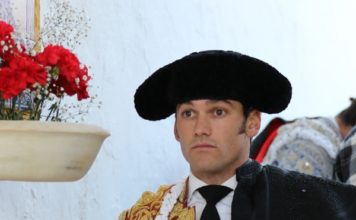 José Garrido
