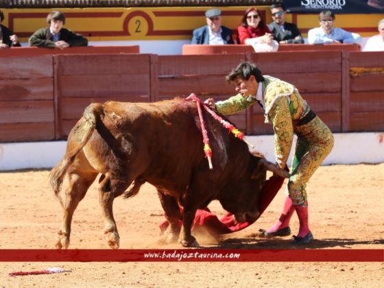 Carlos Domínguez