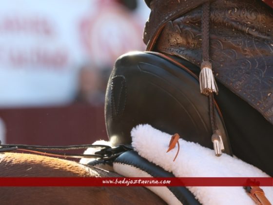 Homenaje a sus caballos en los zahones