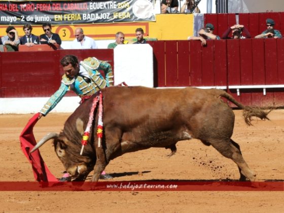 Antonio Ferrera
